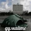 surniki_1947384