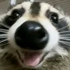 rahhhh0258