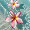 anna_lovemy