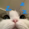 thphmminh47