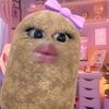 cacaaimutt8