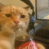 iamfruitygoaway