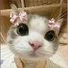sophie.the.awesom