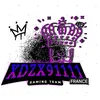 xdzx9111.fr
