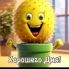 user2225085760012