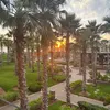 brooke_r4742