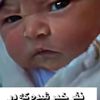 whid.arash