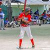 roy113921