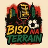 bisonaterrain