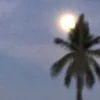 jadeee_547