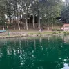 elsh754