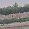 ryuzxc8