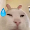 _dduc?