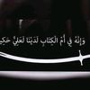 aboualiali550