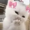 x_user12_x