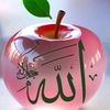 user1205228404881