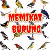 memikat burung|suara pikat