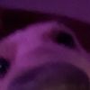 purpleman92