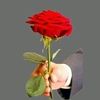 rabiaamoham520adtiktok.4