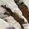 fizzy.hunter