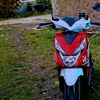ariadrian54