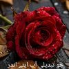 preet53289