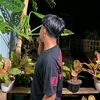 ilham.mo29