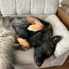 zacbesleepy