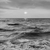 val___342