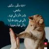 user223561617082