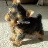marcianomanoeldas21