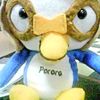 angger_rv