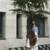 lili._.1731