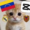 edistdefutbolll