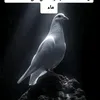 user19021990138024