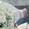sarah_kr_