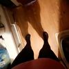 you_know_emma2