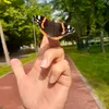 butterfly7102