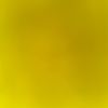 qqwcy.yxel