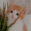 user7533241821205