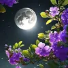 bouchra.es.salam