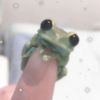 duggyfrog