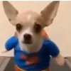 liam_brrbrrpatapim