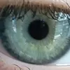 tedeschoi_erika