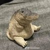 themonkey411