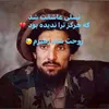 milad.andarabi8