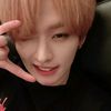 tr.leeknowsaurus._