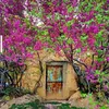 از کوچه های خاطره