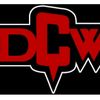 dantheman1303