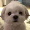 gabryska_123